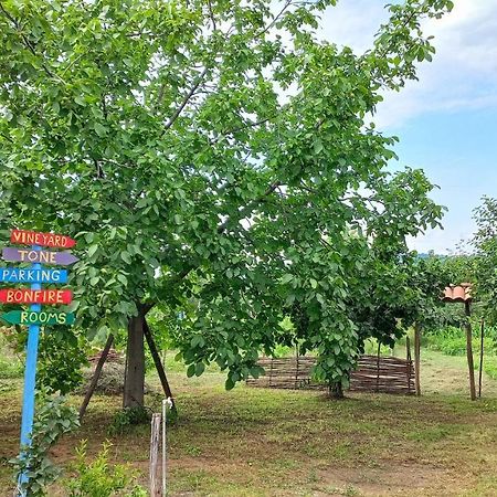 Veli Guest House • Საოჯახო Სასტუმრო Ველი Zemo Alvani Esterno foto