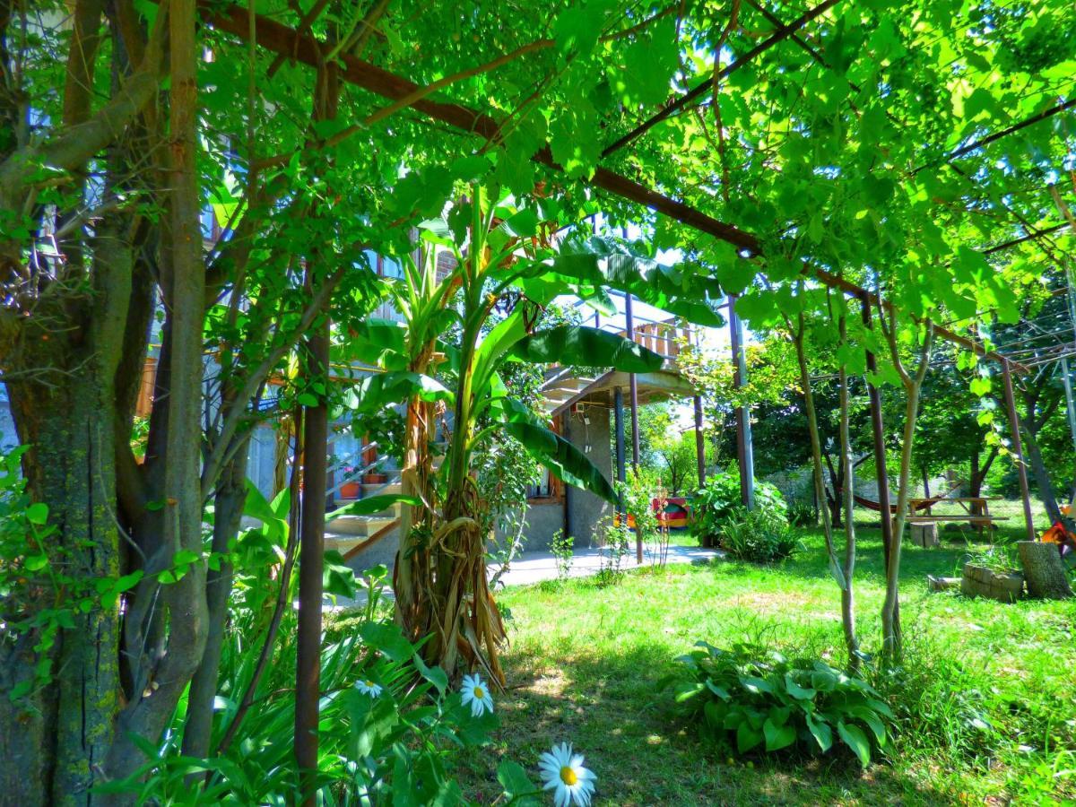 Veli Guest House • Საოჯახო Სასტუმრო Ველი Zemo Alvani Esterno foto