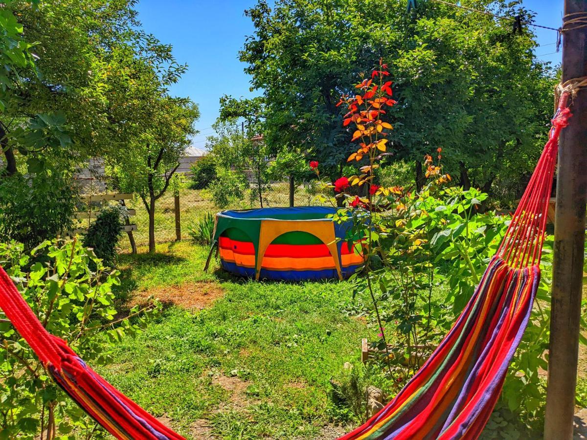 Veli Guest House • Საოჯახო Სასტუმრო Ველი Zemo Alvani Esterno foto