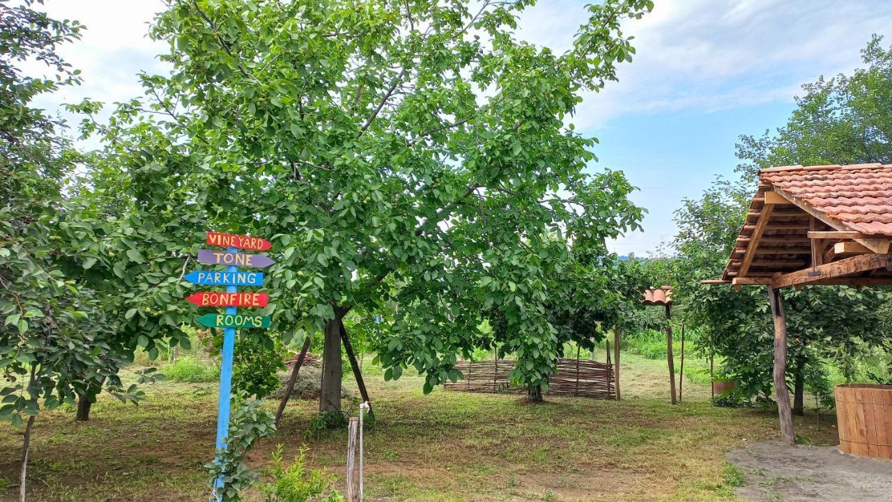 Veli Guest House • Საოჯახო Სასტუმრო Ველი Zemo Alvani Esterno foto