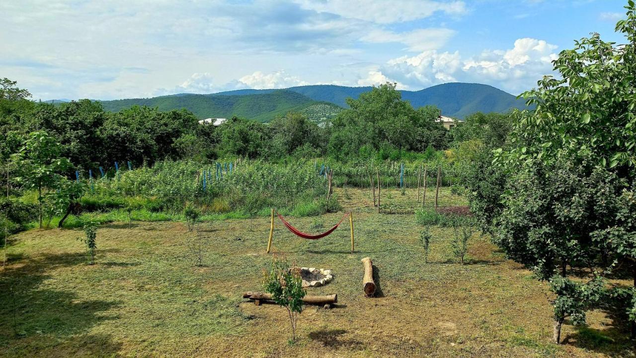 Veli Guest House • Საოჯახო Სასტუმრო Ველი Zemo Alvani Esterno foto