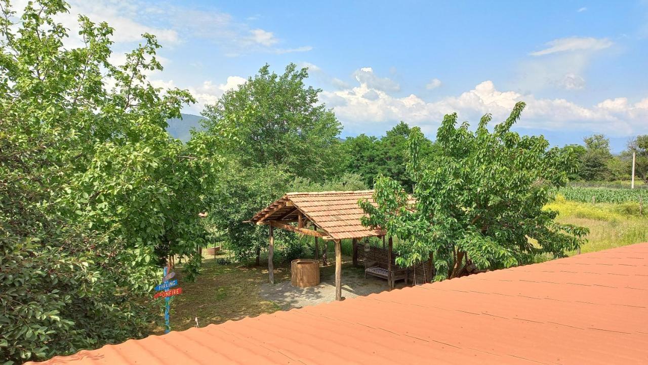 Veli Guest House • Საოჯახო Სასტუმრო Ველი Zemo Alvani Esterno foto